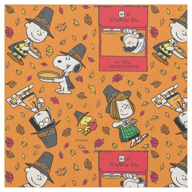 Tela Peanuts Gang Pilgrim Thanksgiving (De cerca)