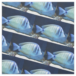 Tela Peces tropicales