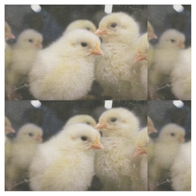 Tela Peeps (De cerca)