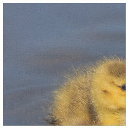 Tela Pequeño nadador: Canadá cosecha ganso