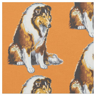 Tela perro collie