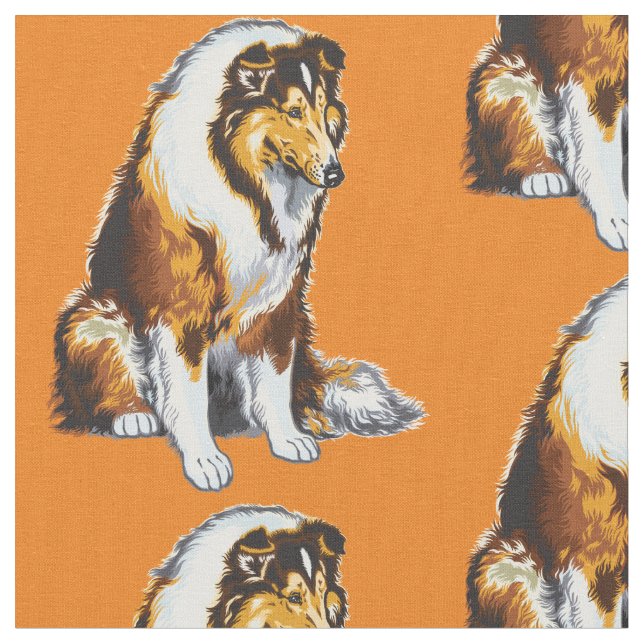Tela perro collie (De cerca)