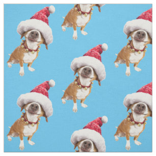Tela Perro con gran sombrero Santa