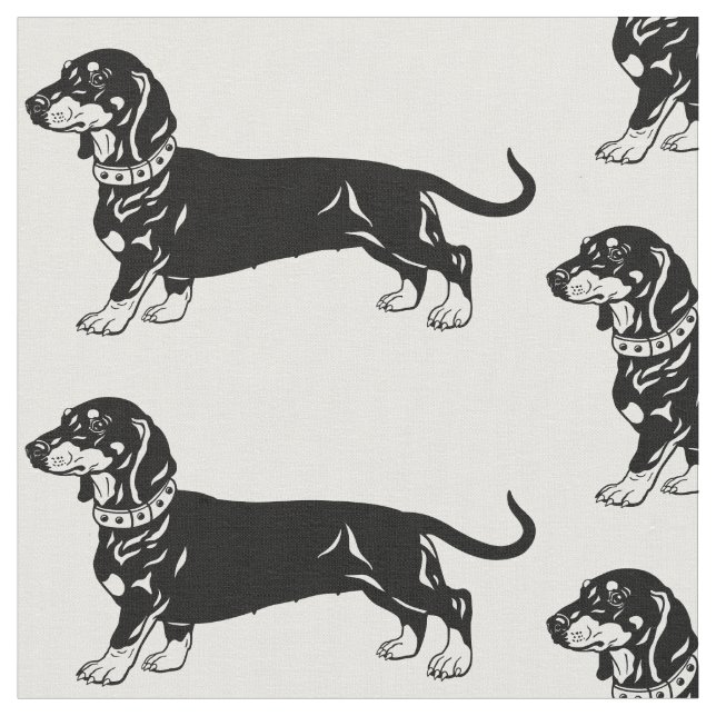 Tela perro de dachshund liso (De cerca)