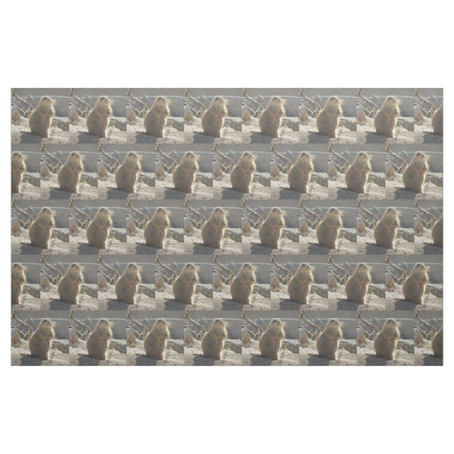 Tela Perro de las praderas ("Cuarto gordo" (fat quarter))