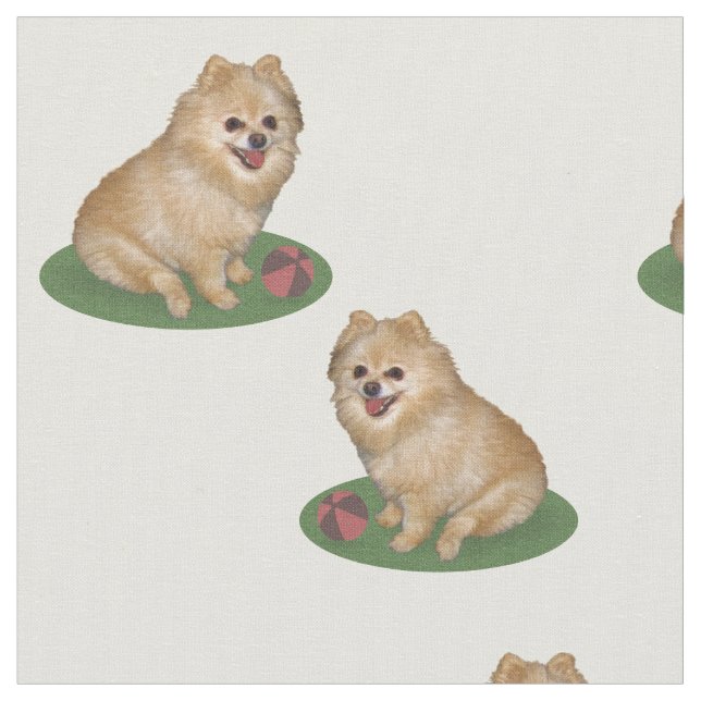 Tela Perro de Pomeranian con personalizable de la bola (De cerca)