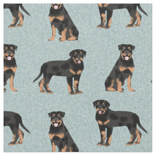 Tela perro de rottweiler azul claro