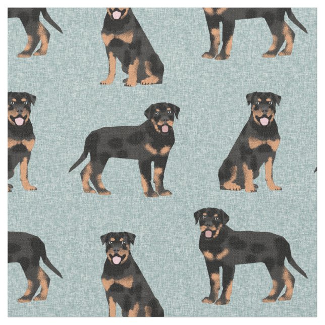 Tela perro de rottweiler azul claro (De cerca)