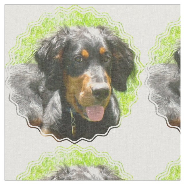 Tela Perro del organismo de Gordon (De cerca)