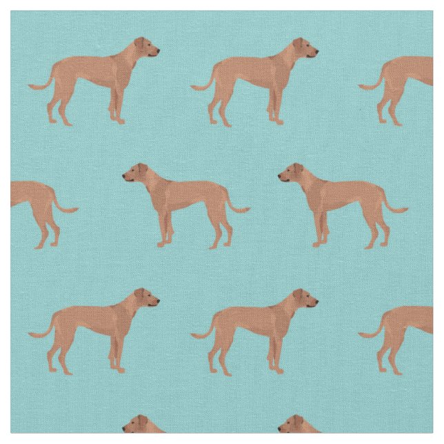 Tela perro embravecido de Rodesia azul claro (De cerca)