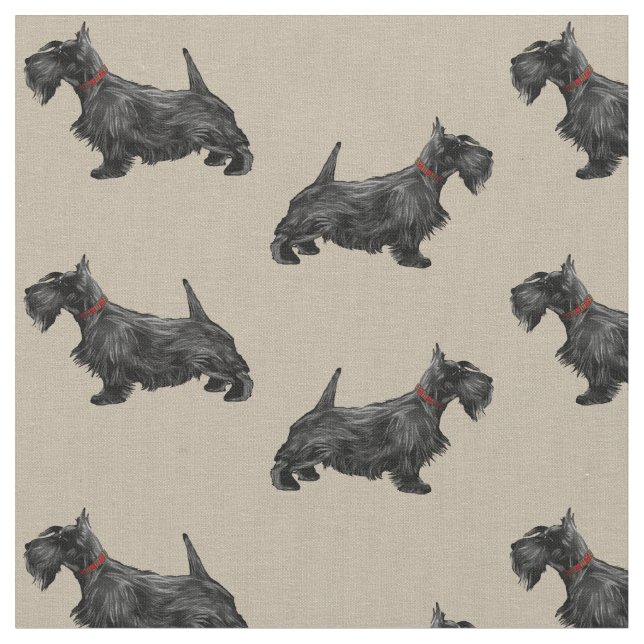 Tela Perro escocés con collar tartán (De cerca)