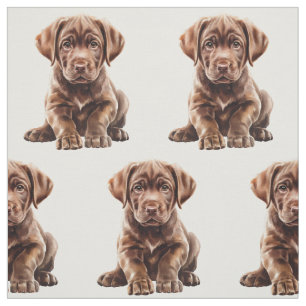 Tela Perro Labrador Retriever de Chocolate