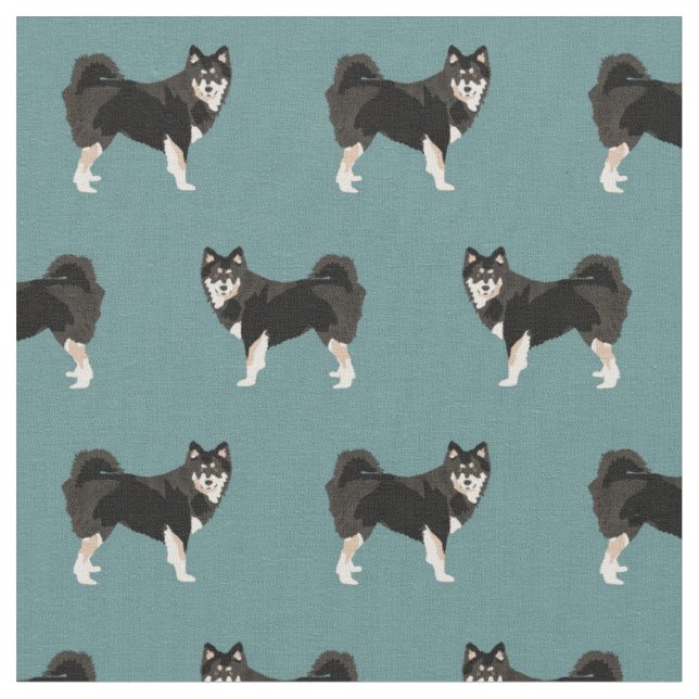 Tela Perro Lapphund finlandés (De cerca)