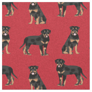 Tela perro rojo rojizo