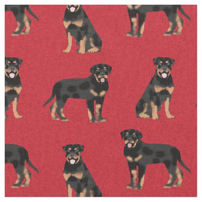 Tela perro rojo rojizo (De cerca)