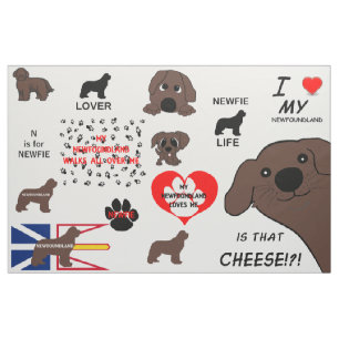 Tela Perro Terranova Marrón ¿Es Ese Queso?