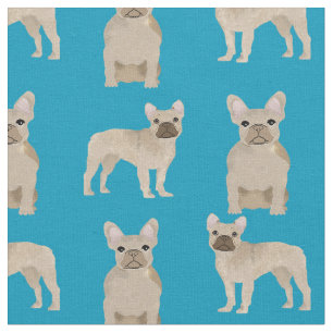 Tela Perro Verde azulado Frenchie Fawn