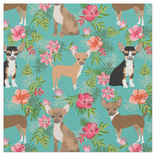 Tela Perros Chihuahua hibisco tropical