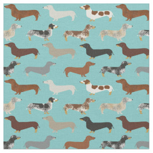 Tela Perros Dachshund azul claro