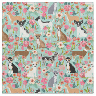 Tela Perros de Chihuahua hierven flores