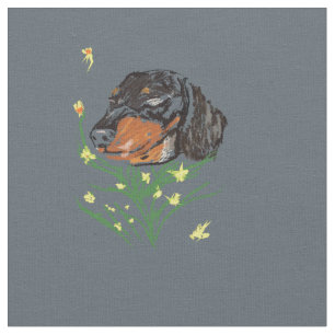 Tela Perros de Dachshund