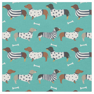 Tela Perros de Dachshund en sudaderas turquesas