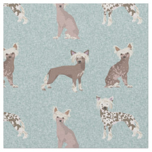 Tela Perros de la cresta china azul claro