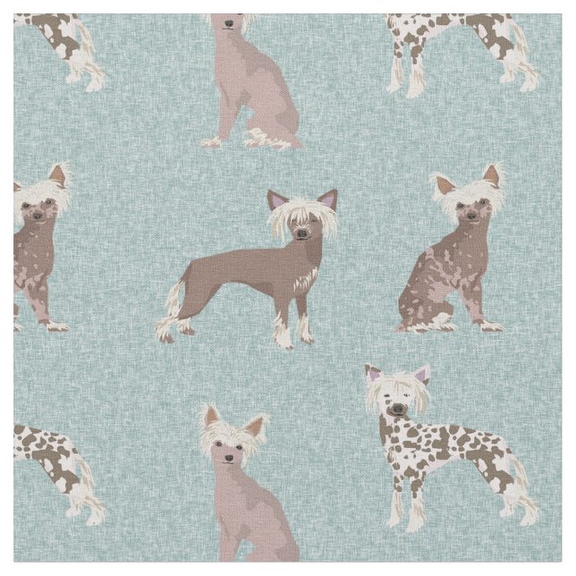 Tela Perros de la cresta china azul claro (De cerca)