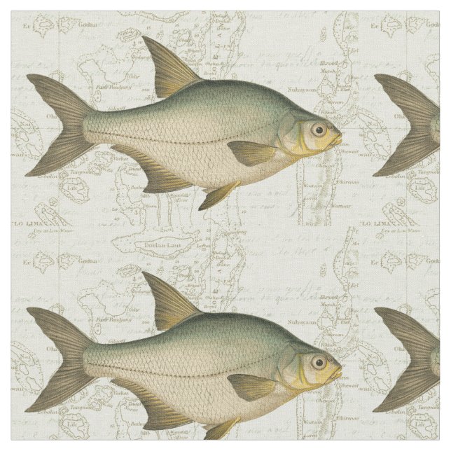 Tela Pescado de agua dulce en el mapa (De cerca)