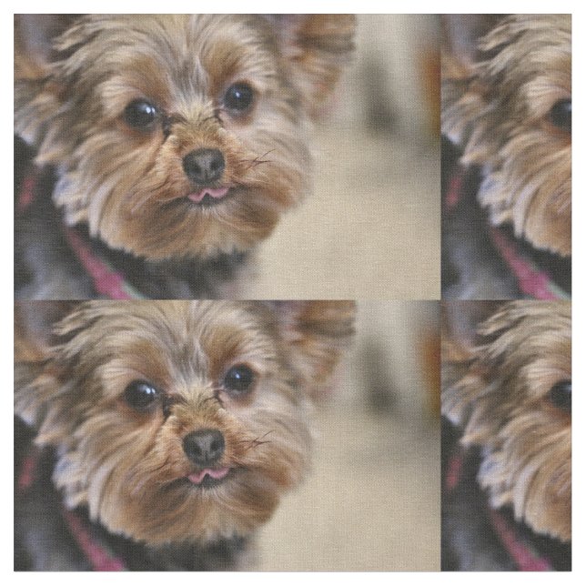 Tela ¡Pfft! (De cerca)