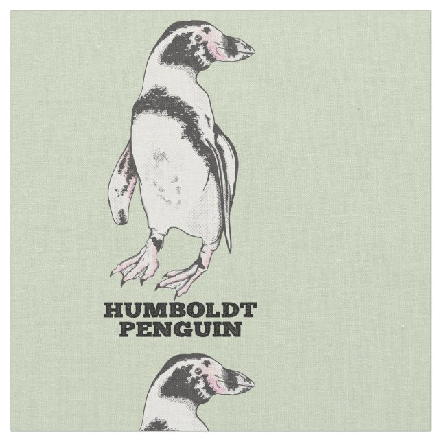 Tela Pingüino Humboldt (De cerca)
