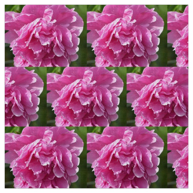 Tela Pink Peony (Retal)