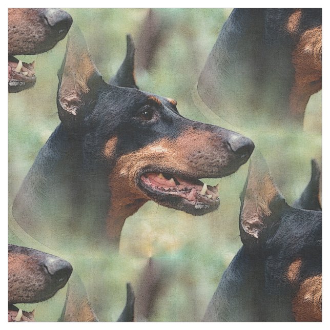 Tela Pinscher del Doberman en las maderas (Retal)