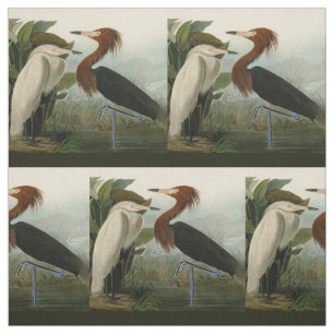 Tela Pintado de vida salvaje morado de la garza Audubon