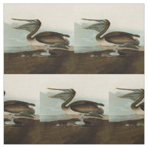 Tela Pintura de arte pelicano John James Audubon Brown