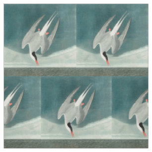 Tela Pintura de aves silvestres de charrán ártico de Au