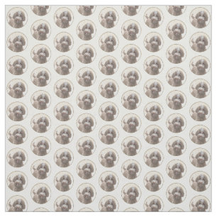 Tela Pintura de Lagotto Romagnolo - Arte de perro origi