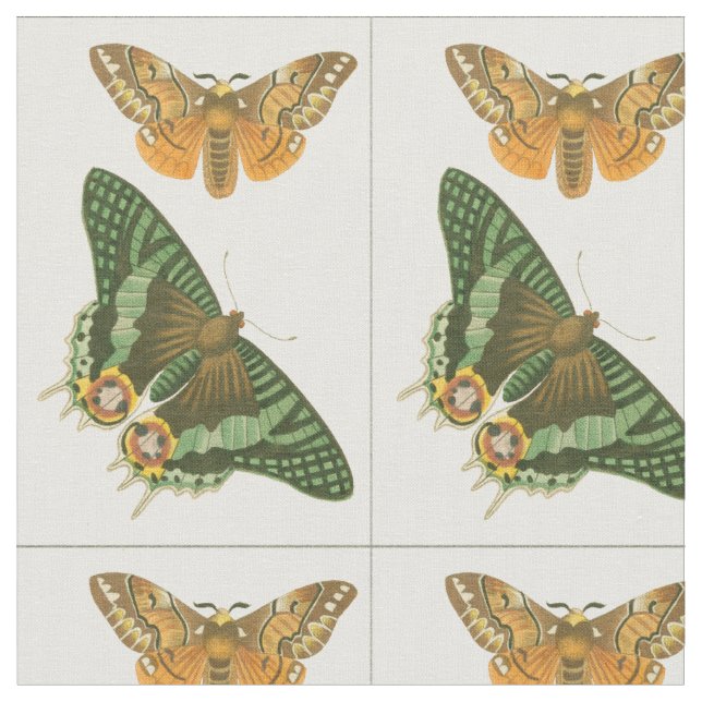 Tela Pintura de mariposa ligeramente bordeada (De cerca)