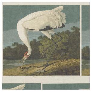 Tela Pintura de pájaro de Crane Audubon