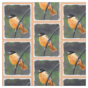 Tela Pintura Oriole - Arte original de aves