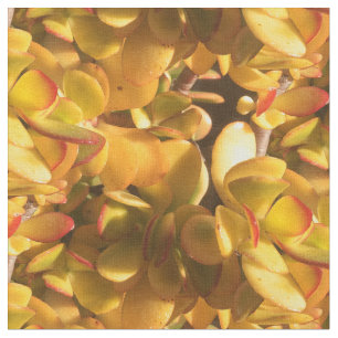 Tela Plantas de hielo amarillas