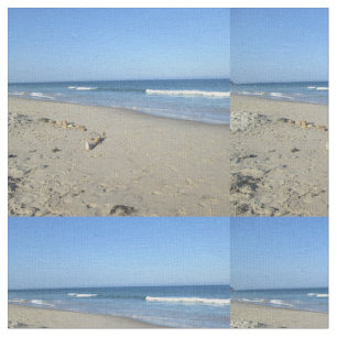 Tela Playa de Sandy
