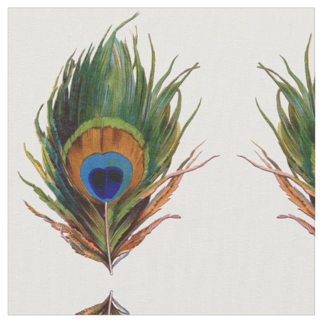 Tela Plumas de pavo real (De cerca)