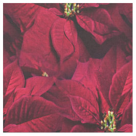 Tela Poinsettias rojos