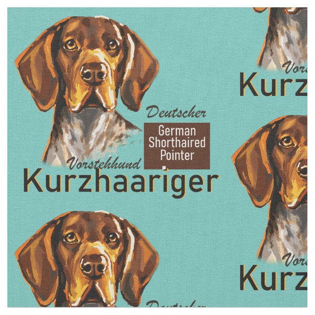 Tela Pointer Kurzhaar (De cerca)