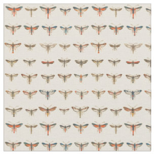 Tela Polillas de Clearwing del vintage