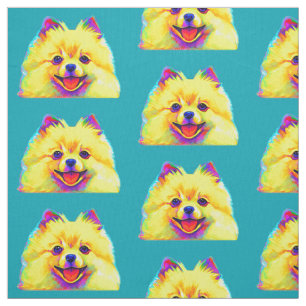Tela Pomeranian colorido