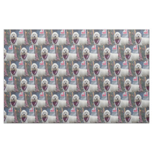 Tela Poodle