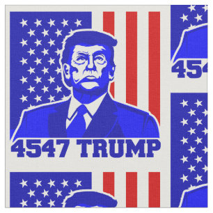 Tela presidente de voto donald trump 2024