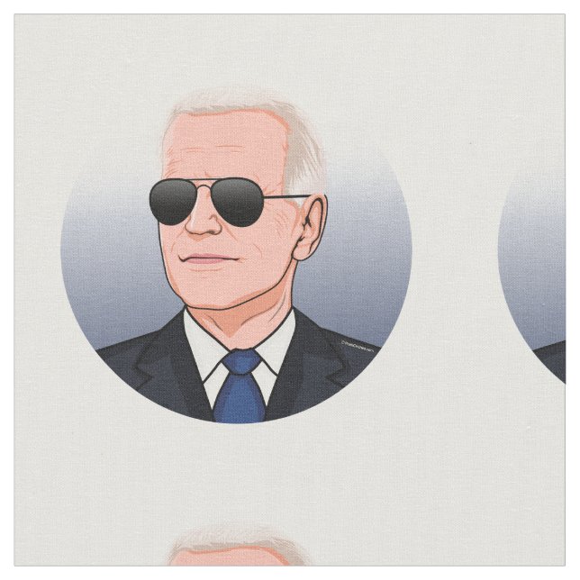 Tela Presidente Joe Biden (De cerca)